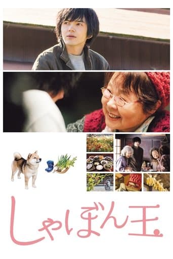 Movie poster for Where I Belong