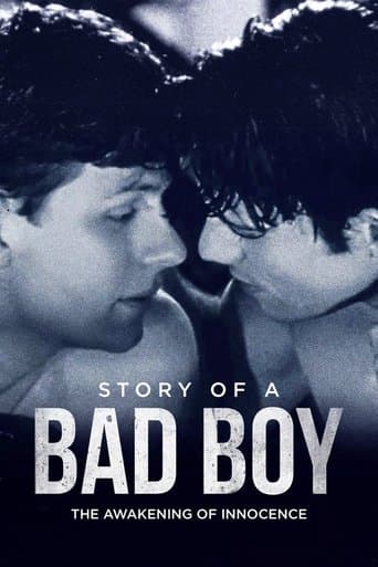 Movie poster for Story of a Bad Boy