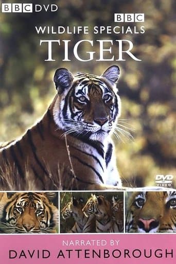 Movie poster for Tiger: The Elusive Princess