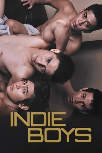 Movie poster for Indie Boys