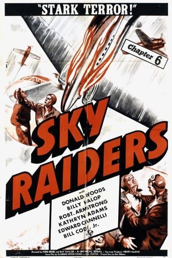 Movie poster for Sky Raiders