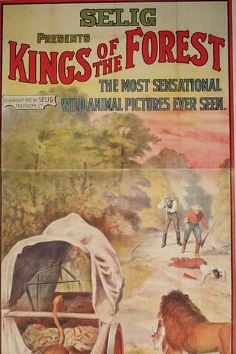 Movie poster for Kings of the Forest