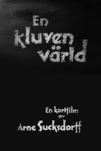 Movie poster for A Divided World