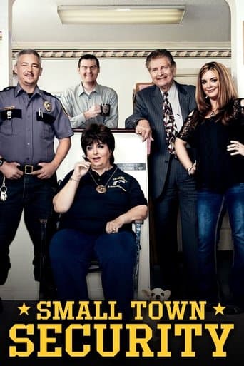 Movie poster for Small Town Security