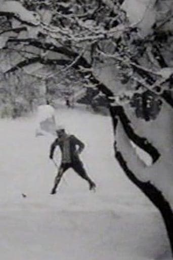 Movie poster for Max Skiing