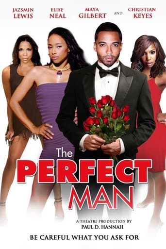 Movie poster for The Perfect Man