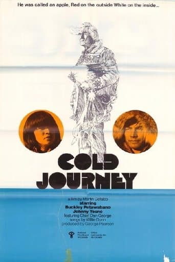 Movie poster for Cold Journey