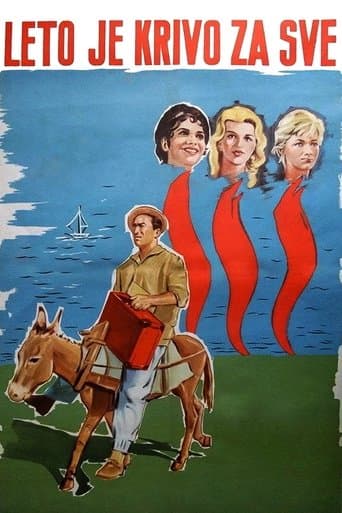 Movie poster for Summer Is to Blame for Everything