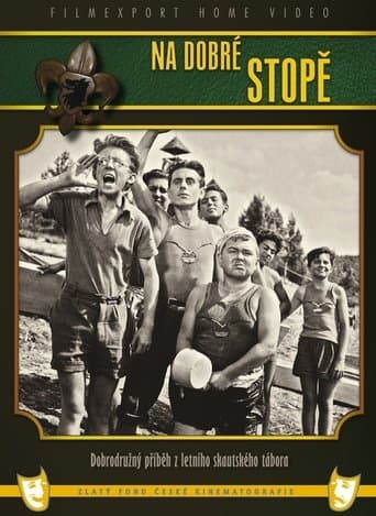 Movie poster for Na dobré stopě