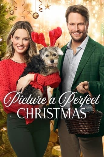 Movie poster for Picture a Perfect Christmas