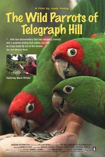 Movie poster for The Wild Parrots of Telegraph Hill