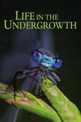 Movie poster for Life in the Undergrowth