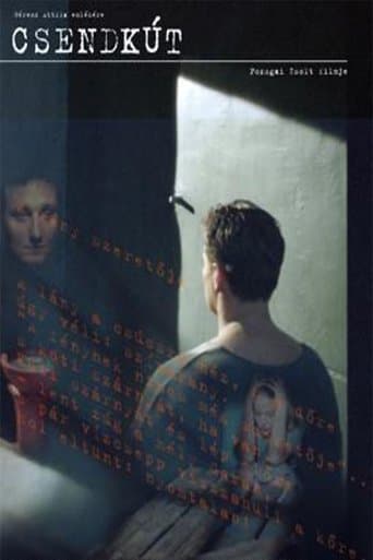 Movie poster for Well of Silence