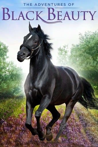 Movie poster for The Adventures of Black Beauty