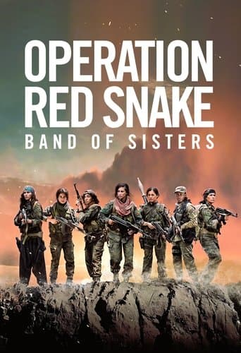 Movie poster for Sisters in Arms