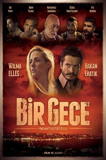 Movie poster for Bir Gece