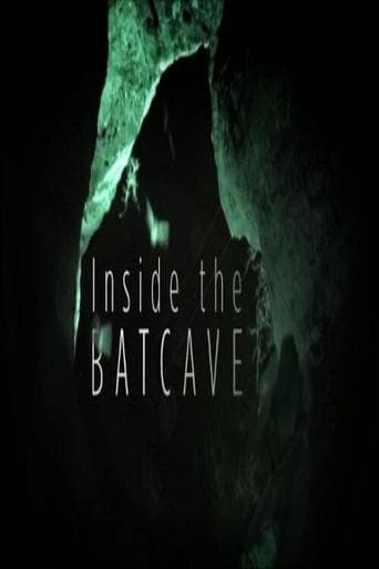 Movie poster for Inside the Bat Cave