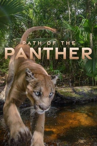 Movie poster for Path of the Panther