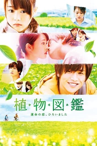 Movie poster for Evergreen Love