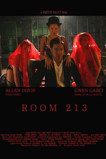 Movie poster for Room 213