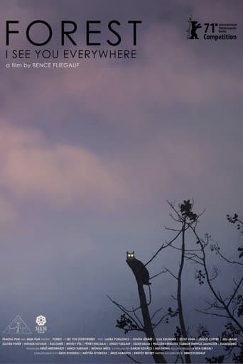 Movie poster for Forest: I See You Everywhere