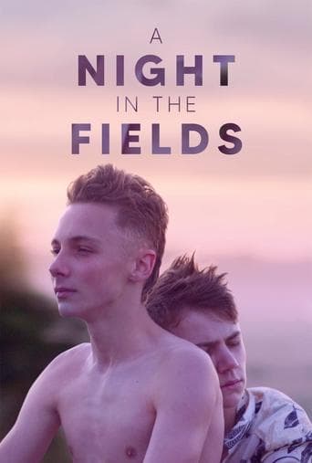 Movie poster for A Night in the Fields