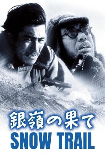 Movie poster for Snow Trail
