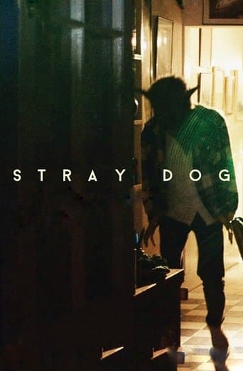 Movie poster for Stray Dog
