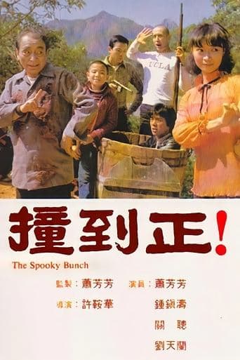 Movie poster for The Spooky Bunch