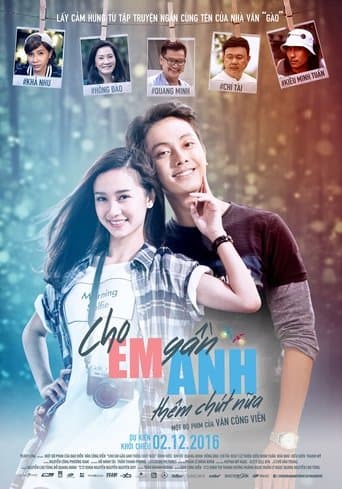 Movie poster for Diary of Fireflies