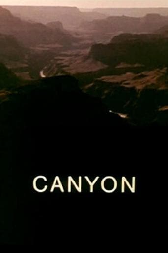 Movie poster for Canyon
