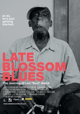 Movie poster for Late Blossom Blues