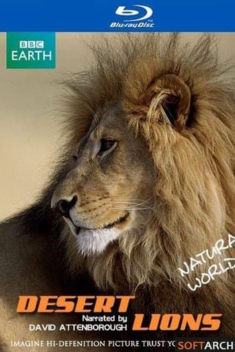 Movie poster for Desert Lions