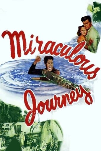 Movie poster for Miraculous Journey