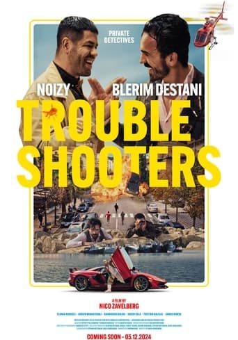 Movie poster for Troubleshooters