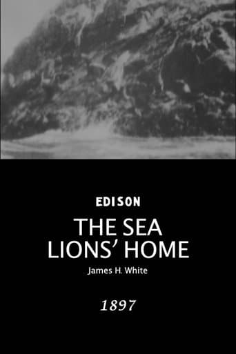 Movie poster for The Sea Lions' Home