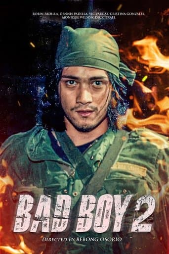 Movie poster for Bad Boy II