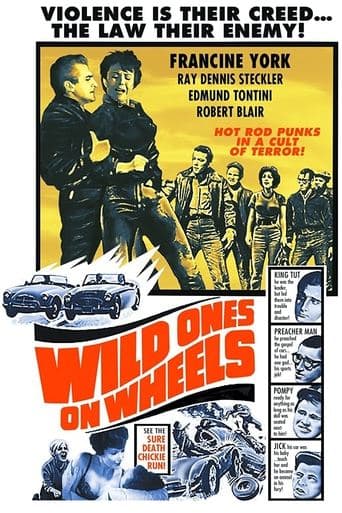 Movie poster for Wild Ones on Wheels