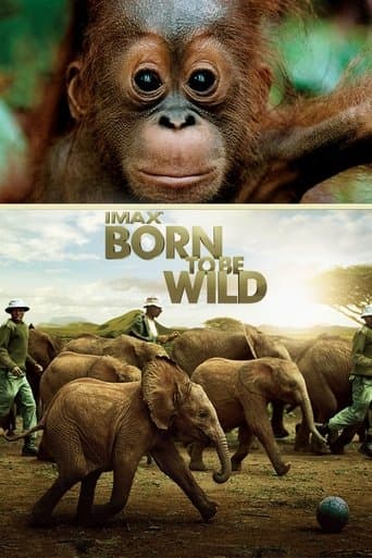Movie poster for Born to Be Wild