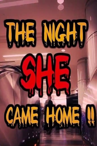 Movie poster for The Night She Came Home!!