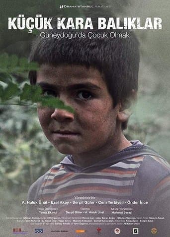 Movie poster for Little Black Fishes