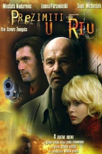 Movie poster for Winter in Rio