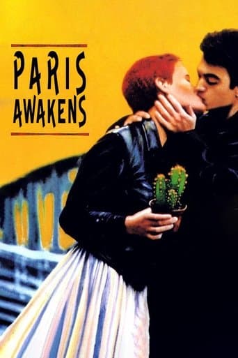 Movie poster for Paris Awakens