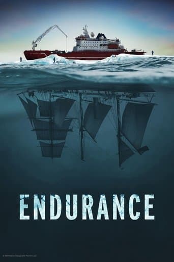Movie poster for Endurance