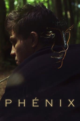 Movie poster for The Phoenix
