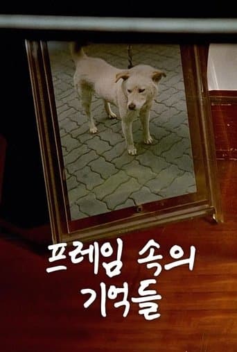 Movie poster for The Memories in My Frame