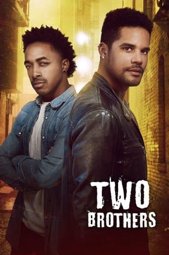 Movie poster for Two Brothers