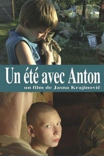 Movie poster for Summer with Anton