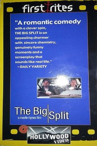 Movie poster for The Big Split