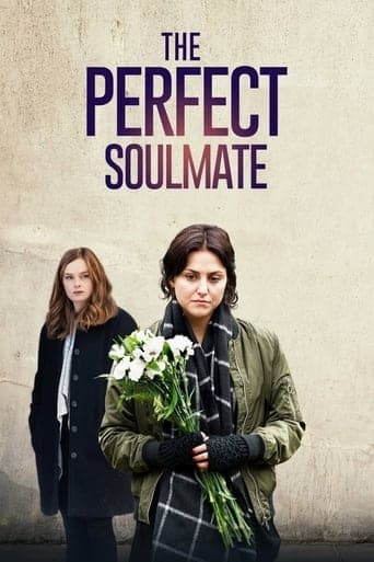 Movie poster for The Perfect Soulmate